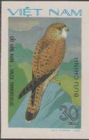 (1982-036a) Марка Вьетнам "Обыкновенная Пустельга "  Без перфорации  Хищные птицы III Θ