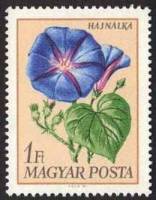 (1968-079) Марка Венгрия "Ипомеи элегантный"    Садовые цветы III Θ