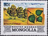 (1982-043) Марка Монголия "Береза"    Флора Монголии III Θ