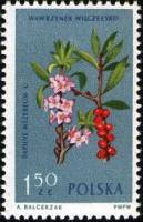 (1962-043) Марка Польша "Волчеягодник обыкновенный"   Растения III Θ