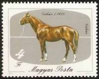 (1985-037) Марка Венгрия "Гидран 1, 1935"    Лошади II Θ