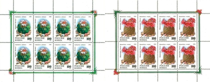 1994-006-7 Листы 2 шт по 8м 2х4 Россия 100 руб  Комнатные растения Кактусы III O