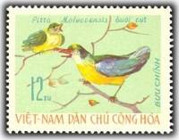 (1966-036) Марка Вьетнам "Молуккская питта"   Птицы III Θ