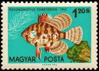 (1962-86) Марка Венгрия "Черно-полосатая солнечная"    Декоративные рыбки III Θ