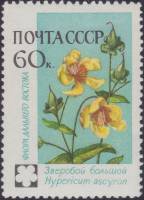 1960-110 Марка СССР Зверобой   Флора III O
