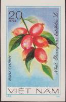 (1981-036a) Марка Вьетнам "Олеастр"  Без перфорации  Фрукты III O