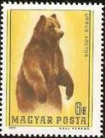 (1977-088) Марка Венгрия "Бурый медведь"    Медведи II Θ