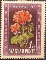 (1950-048) Марка Венгрия "Пеларгония"    Флора Венгрии III Θ