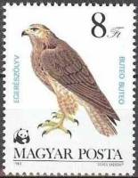 (1983-037) Марка Венгрия "Обыкновенный канюк"    Охраняемые хищные птицы II Θ
