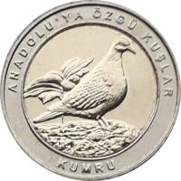 (2019) Монета Турция 2019 год 1 куруш "Горлица" Внешнее кольцо белое Биметалл  UNC