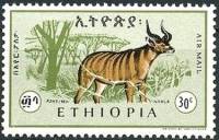 (№1966-535) Марка Эфиопия 1966 год "Горная Ньяла Tragelaphus buxtoni", Гашеная