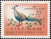 (1963-034) Марка Вьетнам "Сиамская лофура"   Птицы III Θ