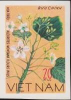 (1977-030) Сцепка (2 м) Вьетнам "Тунговое дерево"   Цветы III Θ