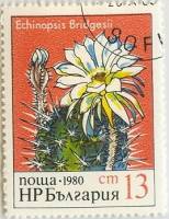 (1980-093) Марка Болгария "Эхинопсис лагениформный"   Кактусы II Θ