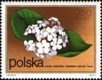 (1972-077) Марка Польша "Калина"    Кустарниковые Цветы II Θ
