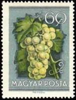 (1954-042) Марка Венгрия "Виноград"    Сельскохозяйственная выставка III Θ