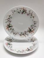 Тарелки десертные 2 штуки  Чехословакия Богемия бело-розовые цветы