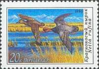 (1990-059) Марка СССР "Красноносый нырок"   Утки III Θ