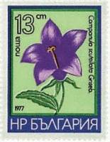 (1977-011) Марка Болгария "Колокольчик щитковый"   Горные цветы III O