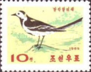 (1965-071) Марка Северная Корея "Белая Трясогузка "   Птицы III Θ