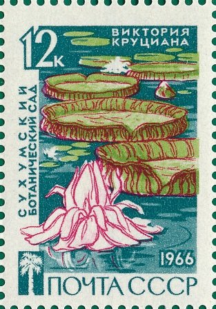 1966-075 Марка СССР Розовый лотос   Сухумский ботанический сад II O