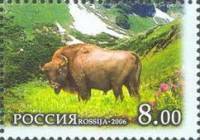 2006-084 Марка Россия Зубр  Западный Кавказ III O