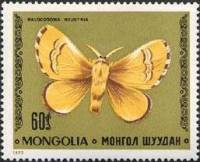 (1977-064) Марка Монголия "Коконопряд кольчатый"    Насекомые. Бабочки III O