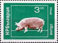 (1974-016) Марка Болгария "Свинья"    Домашние животные II Θ
