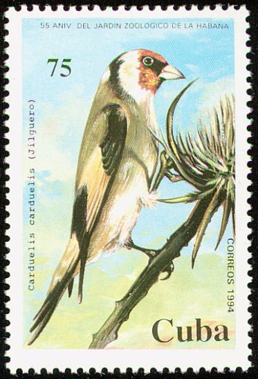 (№3790) Марка Куба 1994 год &quot;Европейский Щегол Щеглы щеглы&quot;, Гашеная