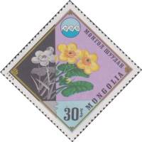 (1974-080) Марка Монголия "Калужница"    Защита окружающей среды III Θ