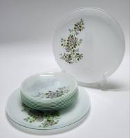 Тарелки 2 шт и блюдца 8 шт матовое цветное стекло рисунок - цветы