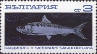 (1969-101) Марка Болгария "Сардина"   Океанское рыболовство II O