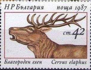 (1987-040) Марка Болгария &quot;Красный олень&quot;   Олени III O