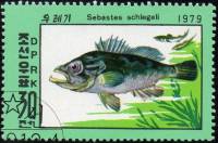 (1979-135) Марка Северная Корея "Корейский морской окунь"   Морские существа III Θ