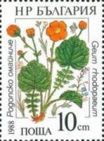 (1988-003) Марка Болгария "Гравилат алеппский"   Водные растения III O