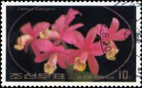 (1984-041) Марка Северная Корея "Каттлея лоддигесии"   Цветы III Θ
