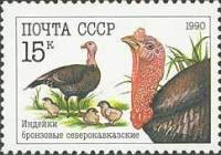 1990-062 Марка СССР Индейки бронзовые  Домашние птицы III O