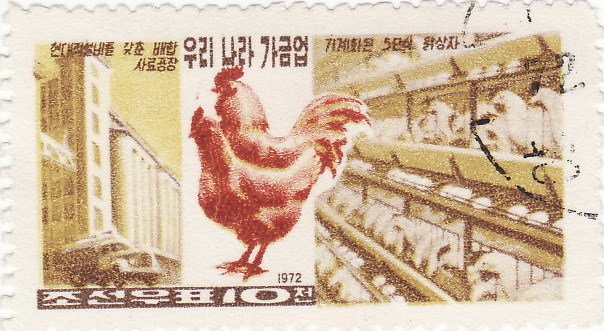 (1972-062) Марка Северная Корея &quot;Курицы&quot;   Птицеводство III Θ