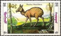 (1990-021) Марка Монголия "В лесу"    Фауна Монголии. Кабарга III Θ