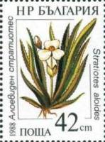 (1988-007) Марка Болгария "Клешня краба"   Водные растения III Θ