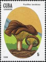 (1988-011) Марка Куба "Свинушка Тонкая"    Ядовитые грибы III Θ