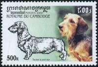 (№2000-2110) Марка Камбоджа 2000 год "Жесткошерстная такса canis волчанка familiaris", Гашеная