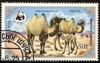 (1985-029) Марка Монголия "Семья верблюдов"    Двугорбый верблюд III Θ