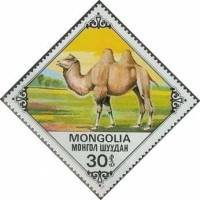 (1978-061) Марка Монголия "Молодой верблюд"    Верблюды III Θ