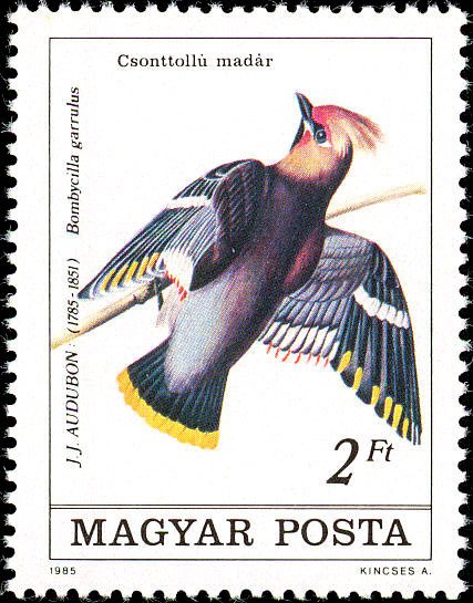(1985-031) Марка Венгрия &quot;Свиристель&quot;    Птицы II Θ