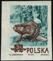 (1954-055a) Марка Польша "Бобр" Без перфорации   Охраняемые животные III Θ