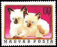 (1974-093) Марка Венгрия "Сиамские котята"    Молодые домашние животные II Θ