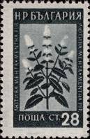 (1953-039) Марка Болгария "Мята"   Лекарственные растения Болгарии (1) II Θ