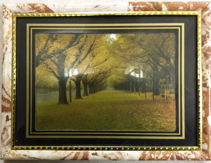 Картина &quot;Осенняя аллея&quot;, голограмма (сост. на фото)