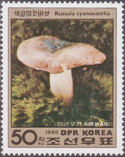 (1986-086) Марка Северная Корея "Сыроежка сине-жёлтая"   Грибы III &Theta;